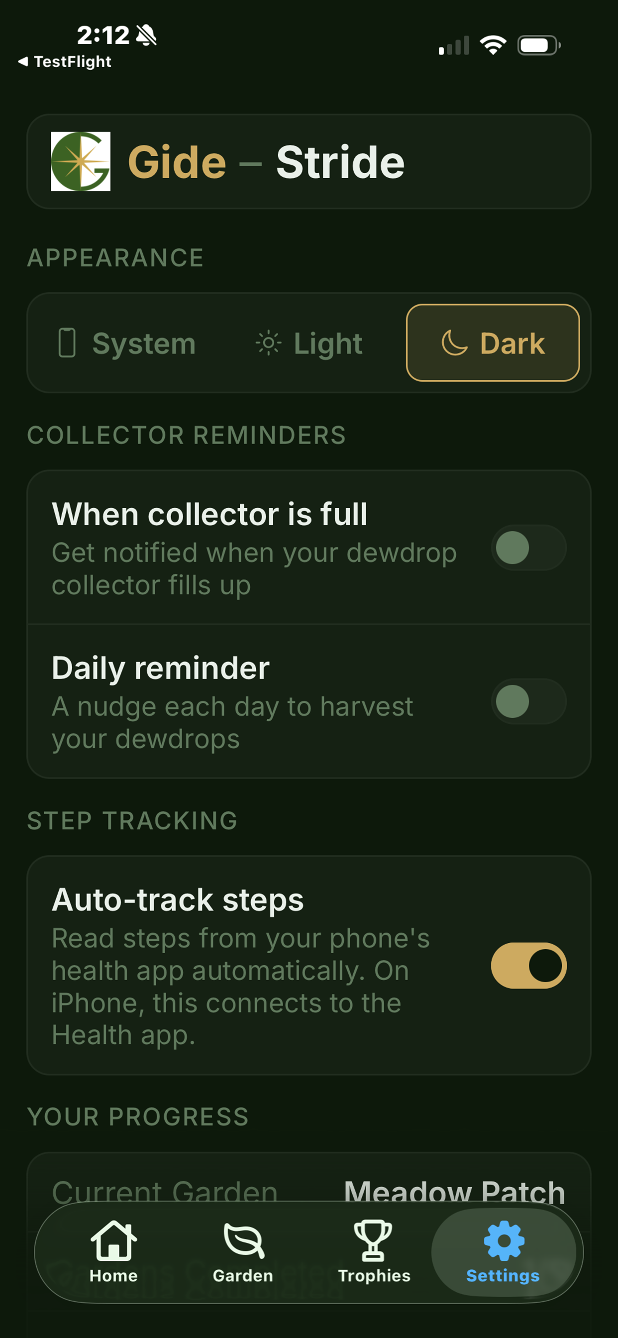 Stride dark mode settings screen